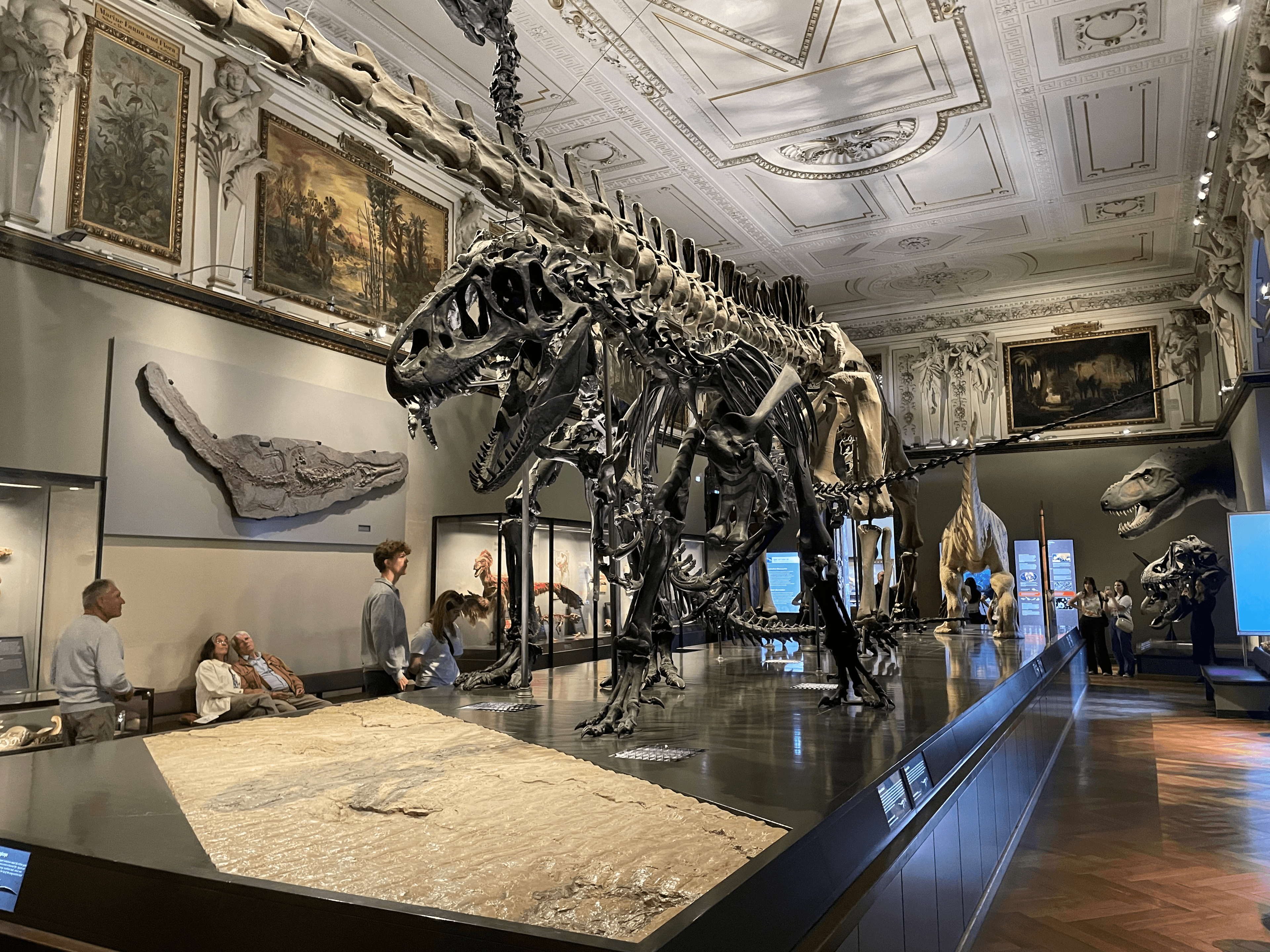 Sauriersaal im Naturhistorischen Museum Wien